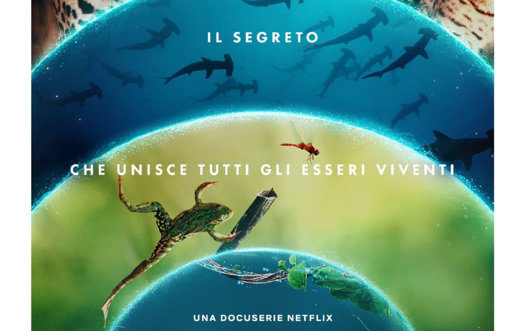 NETFLIX celebra la Giornata Internazionale della Terra con “UN MONDO DI VITA” e altri titoli sull’ambiente