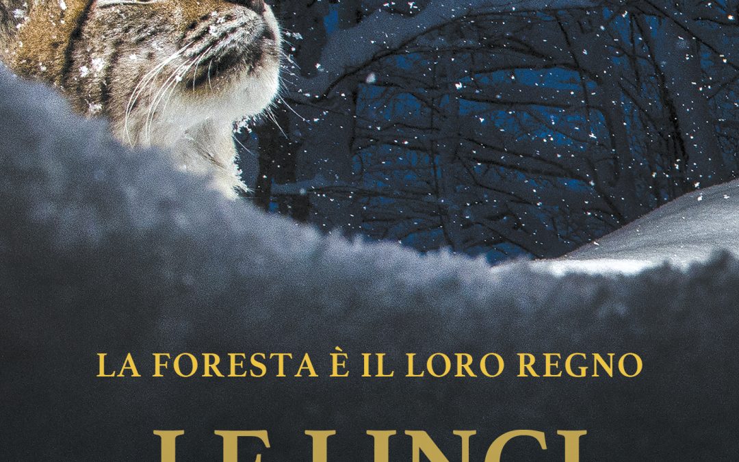 Arriva in sala l’11, 12 e 13 novembre il documentario LE LINCI SELVAGGE
